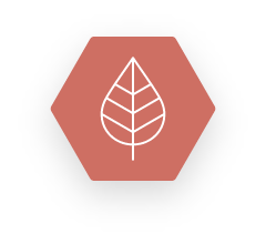 Environment